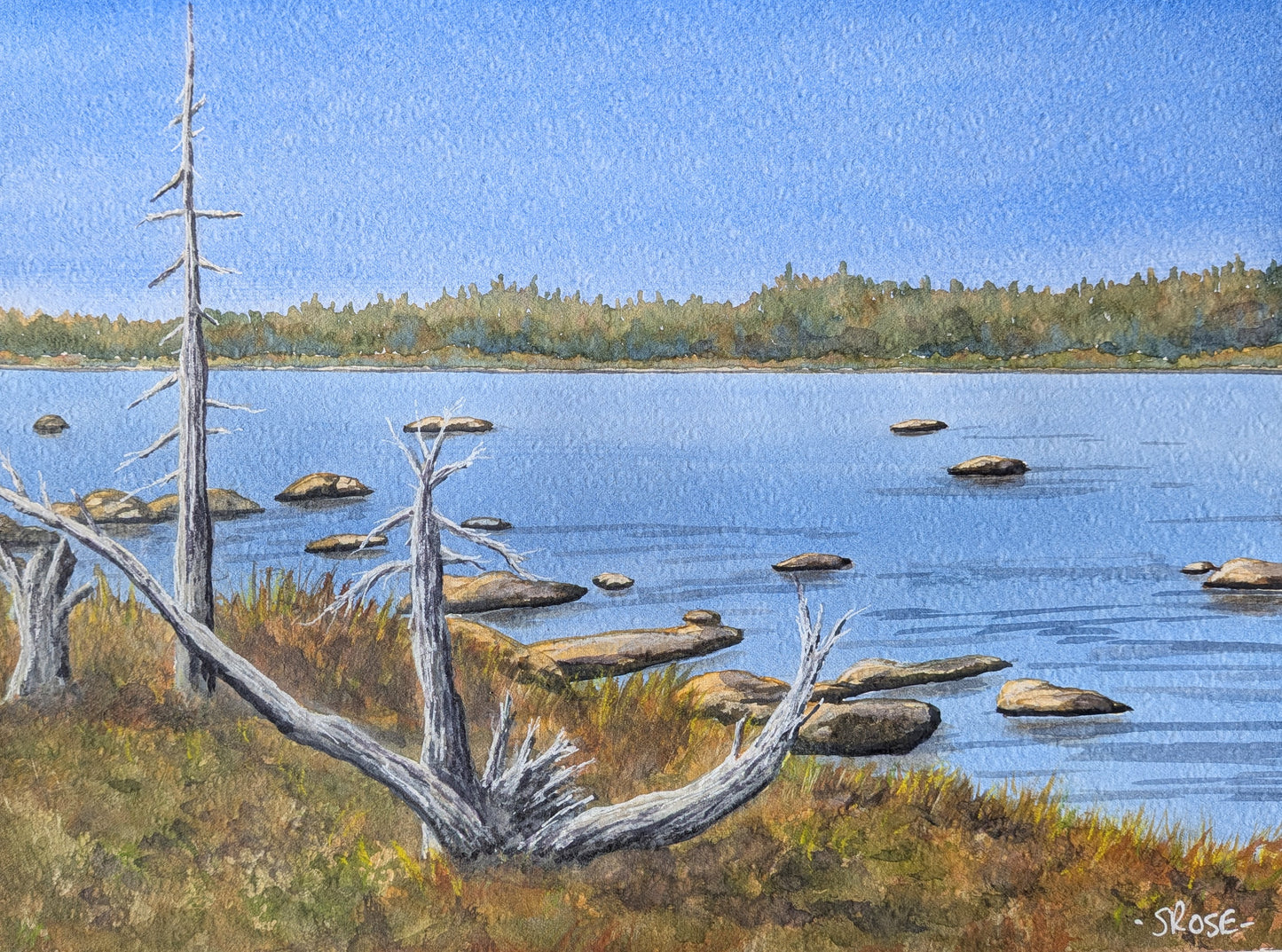 River and Trees, Newfoundland (watercolour painting)