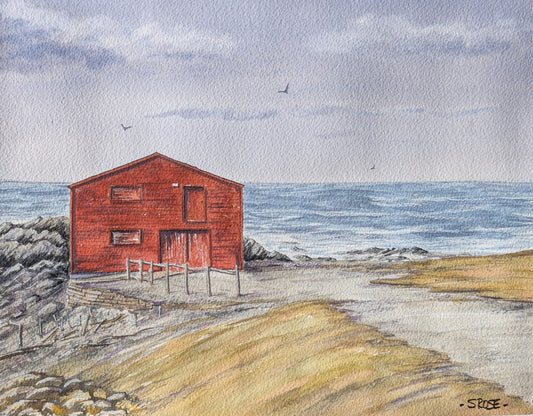 Broom Point Fishing Premises, Gros Morne, Newfoundland (watercolour painting)
