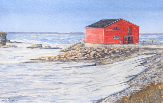 Broom Point Fishing Premises, Gros Morne, Newfoundland (watercolour painting)